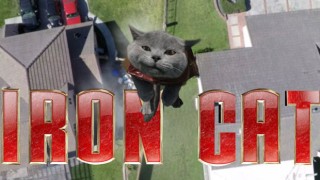 Iron Cat, le chat volant